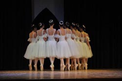 ballet performance 2014