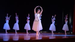 ballet performance 2014