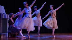 ballet performance 2014