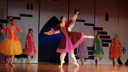 ballet performance 2014