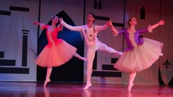 ballet performance 2014