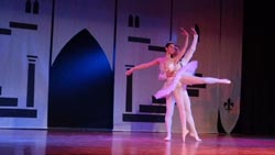 ballet performance 2014