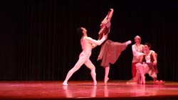 ballet performance 2014