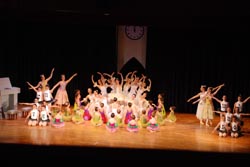 ballet performance 2014