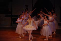 ballet performance 2014