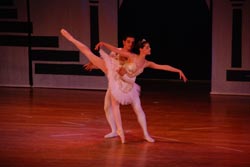 ballet performance 2014