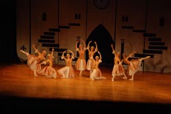 ballet performance 2014