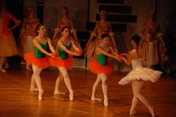 ballet performance 2014