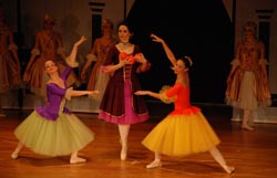 ballet performance 2014