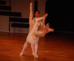 ballet performance 2014