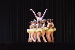 ballet performance 2014