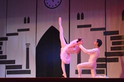 ballet performance 2014