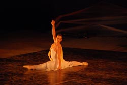 ballet performance 2007