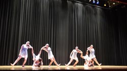 ballet performance 2014