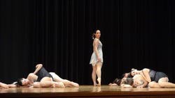 ballet performance 2014