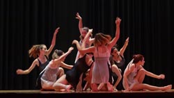 ballet performance 2014