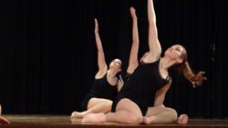 ballet performance 2014