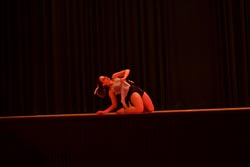 ballet performance 2014