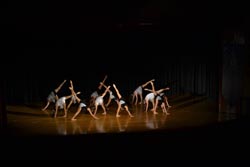 ballet performance 2014