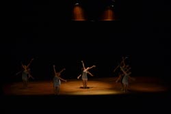 ballet performance 2014